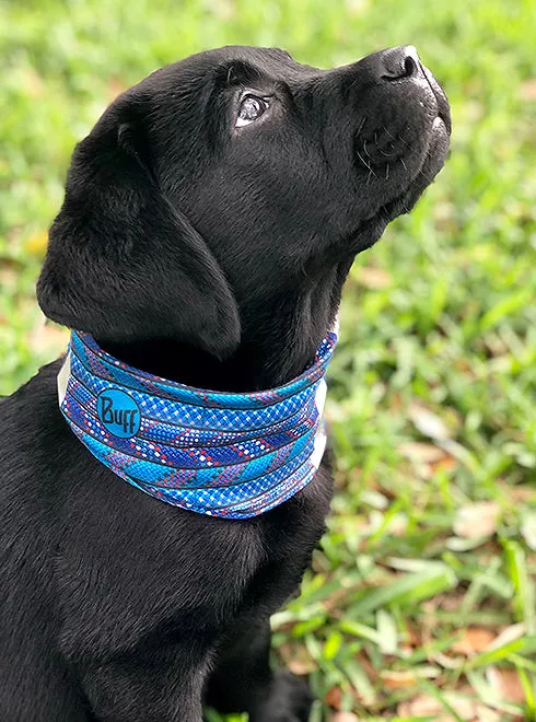 BUFF DOG NECKWEAR