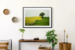 "Ireland Tree" | Travel Photography Print