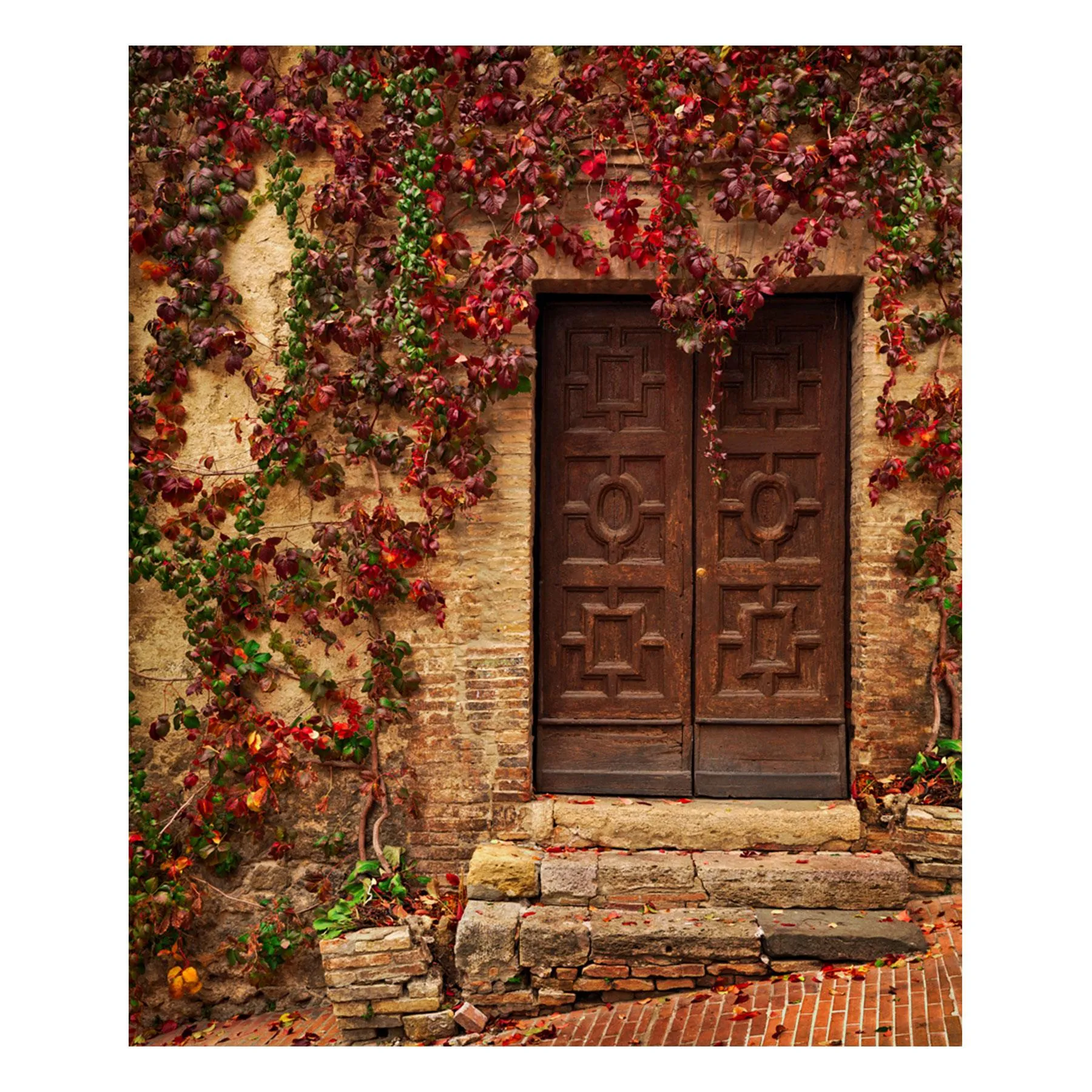 "Vine Street" | Italy Photography Print