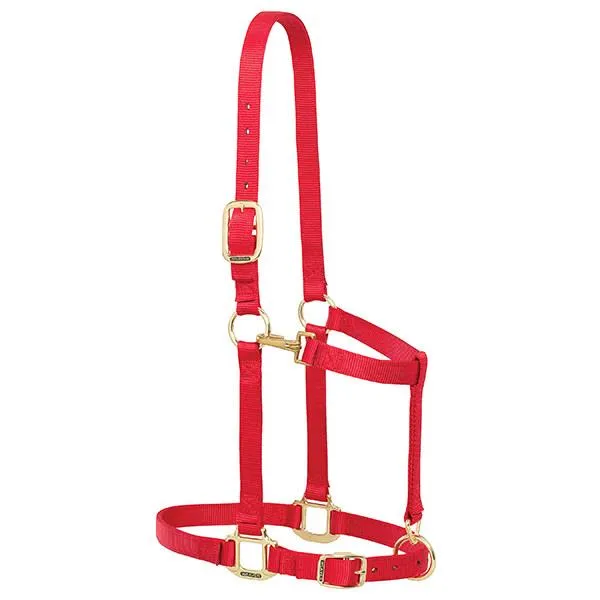 Weaver Draft Horse Adjustable 1" Nylon Halter