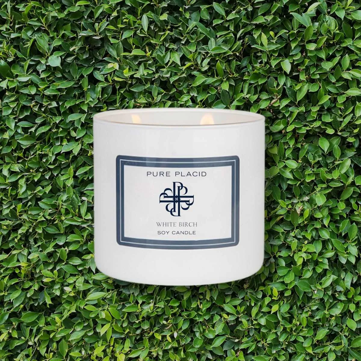 White Birch Soy Candle